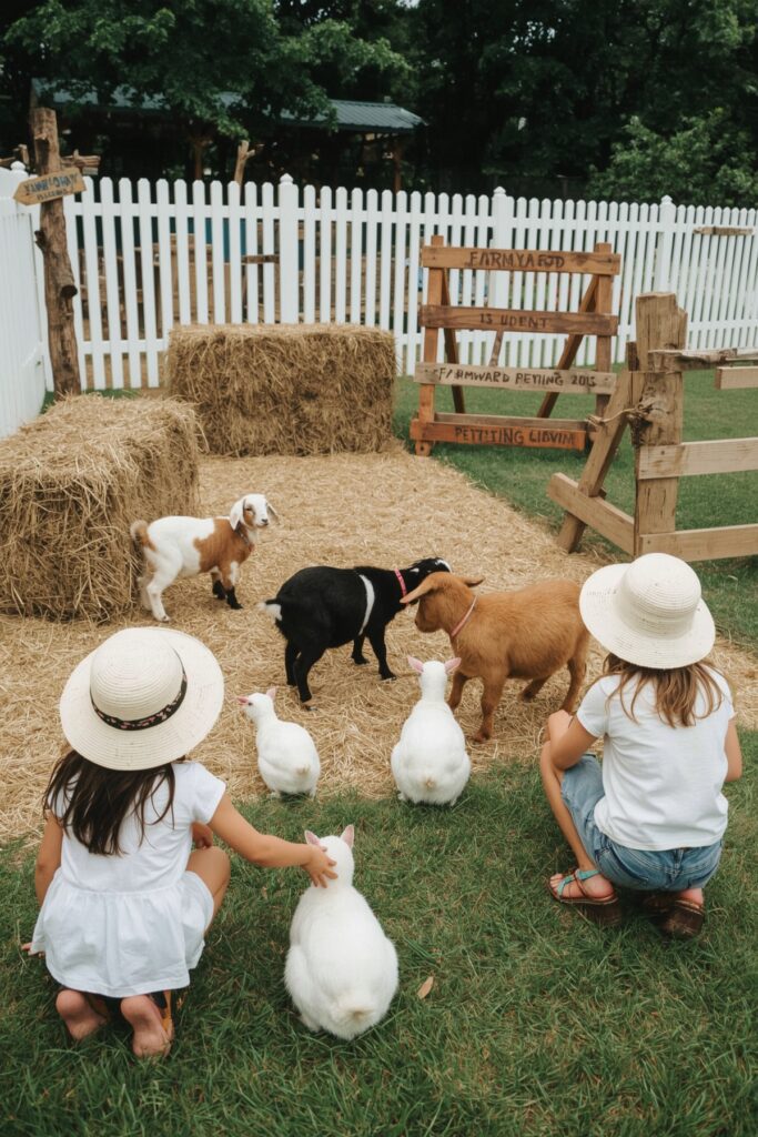 Farmyard Petting Zoo